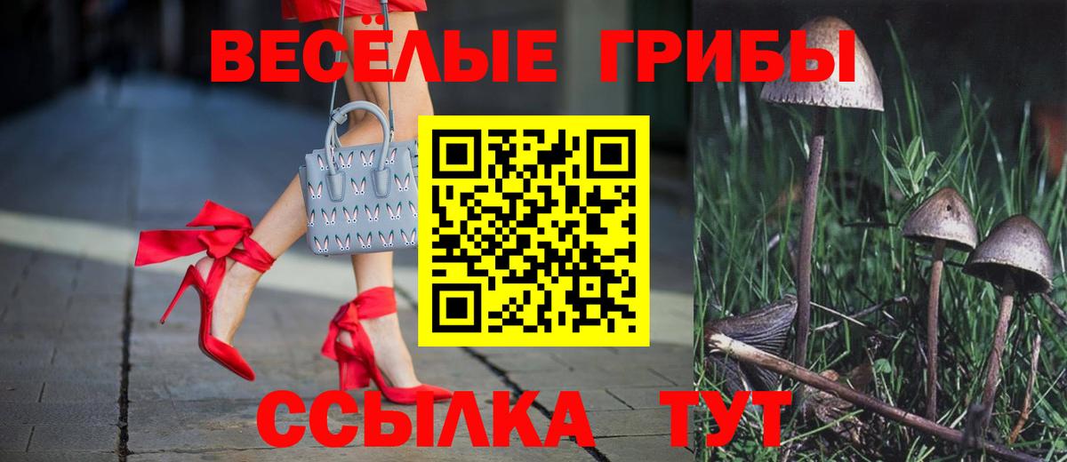 Галлюциногенные грибы MAGIC MUSHROOMS  Псилоцибиновые грибы ЛСД  Асбест  Вход с VPN 